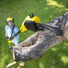 Lawn Maintenance Plans in Brewster, NY